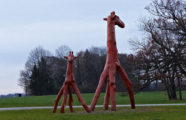 Giraffen beim Starnberger See