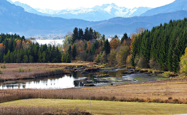 Im schönen Allgäu