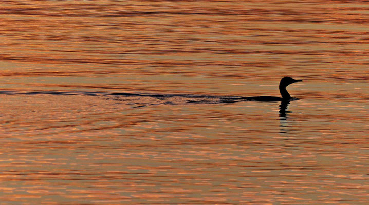 Sonnenaufgang beim Strand