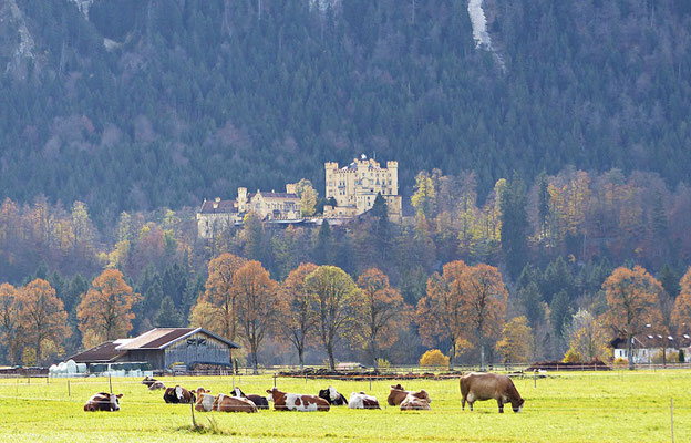 Im schönen Allgäu