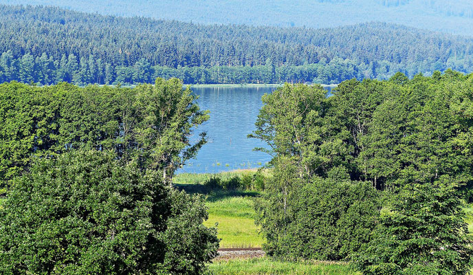 Blick auf den Lipno-Stausee
