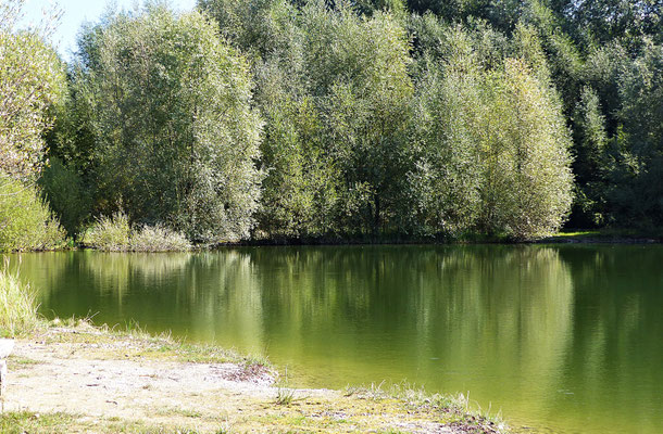 Badesee in Graben