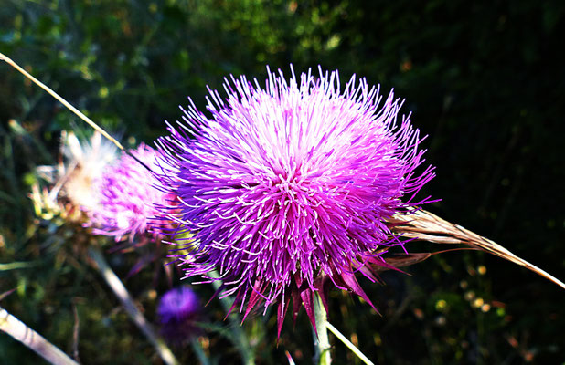 Ausflüge in Kroatien