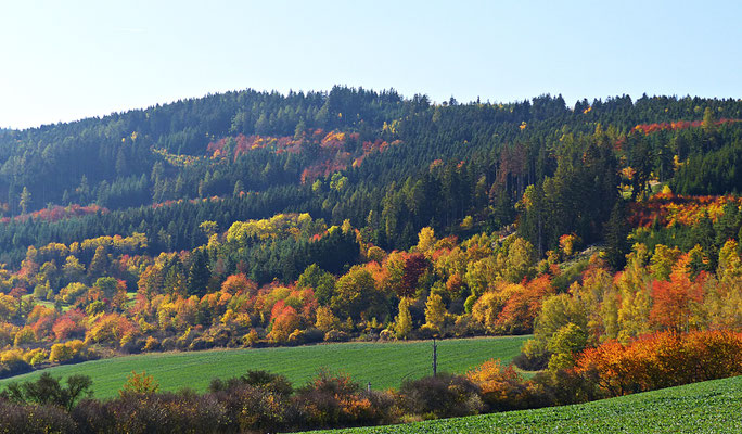 Farbenfrohes Böhmen