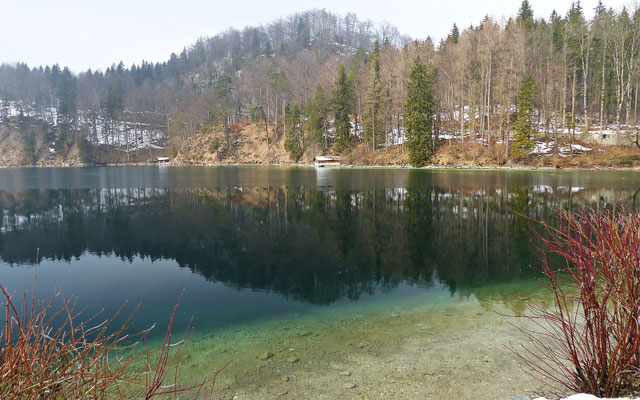 Beim Alpsee
