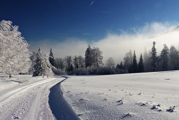 Winter im Bayerischen Wald