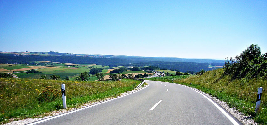 Im Schwarzwald