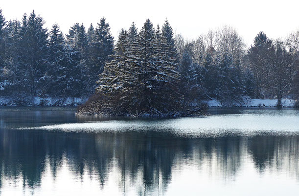 Der Auensee