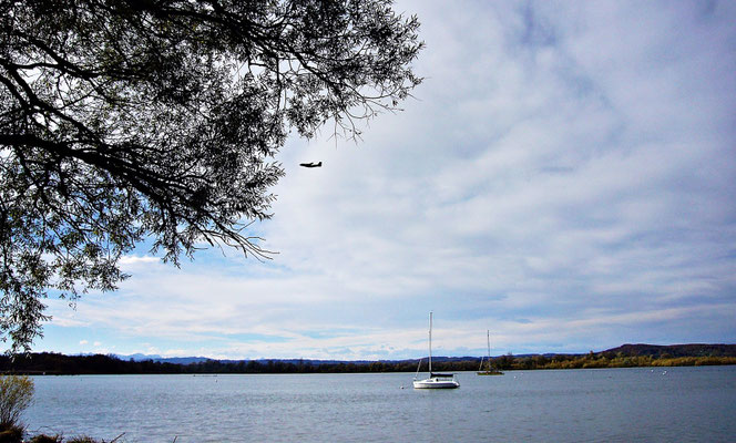 Ammersee