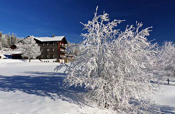 Winter im Bayerischen Wald