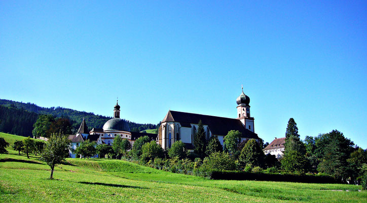 Im Schwarzwald