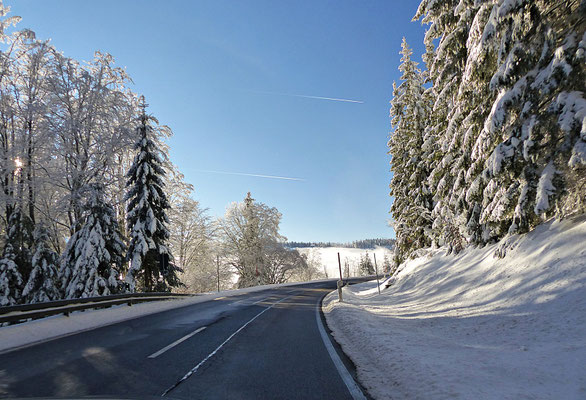 Winter im Bayerischen Wald