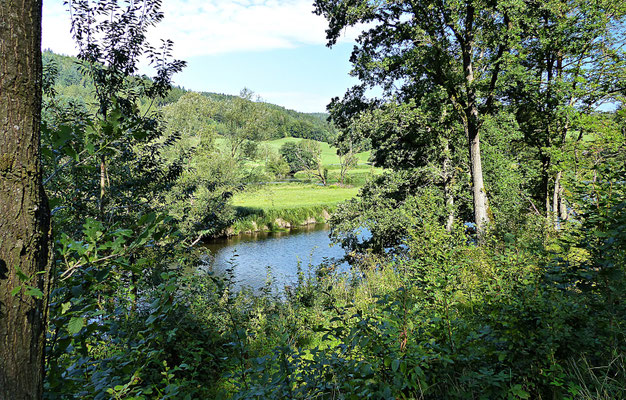 Der Fluss Regen im Sommer