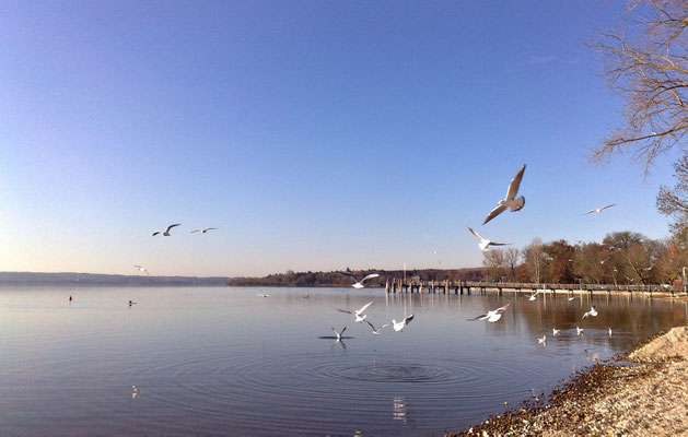 Ammersee