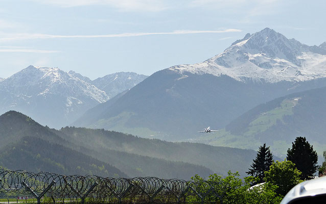 Fichtenblüte beim Flughafen Innsbruck