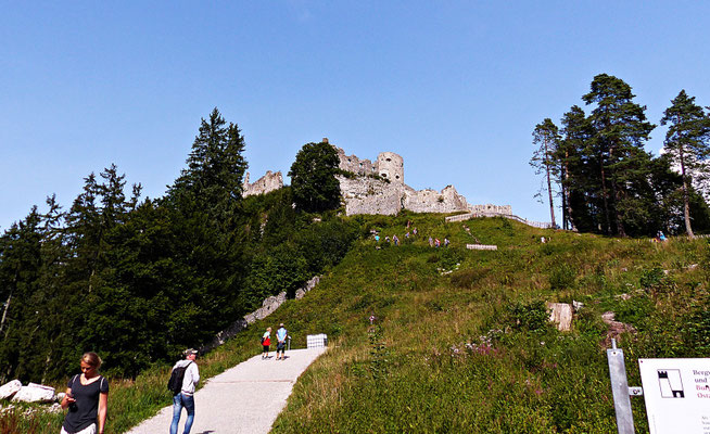 Burg Ehrenberg