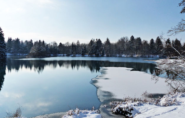 Der Auensee