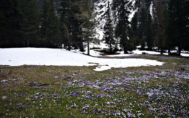 Kühtai im Frühling