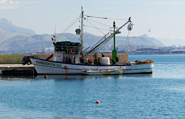 März 2019 in Kastel Stafilic