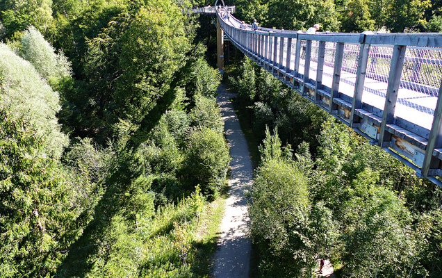 Der Baumwipfelpfad
