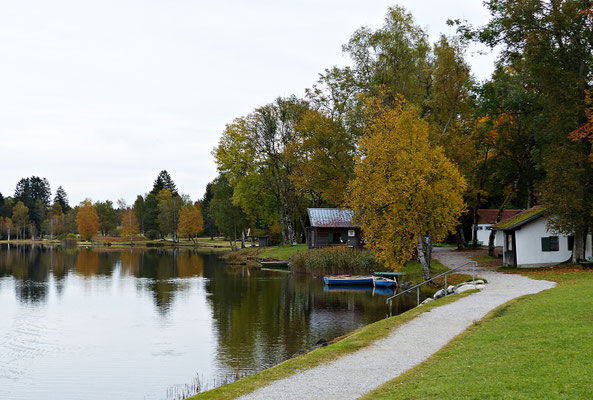 Soiener See