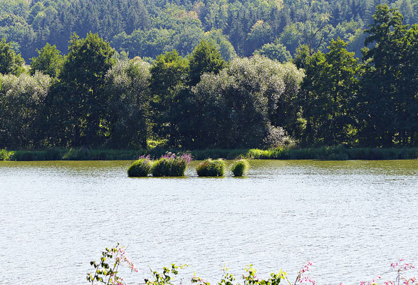 Der Fluss Regen im Sommer