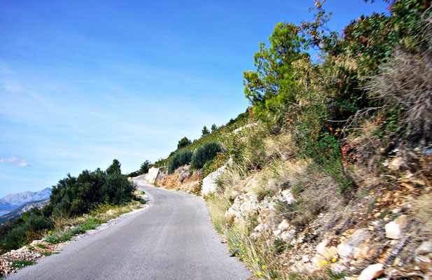 Rückweg
