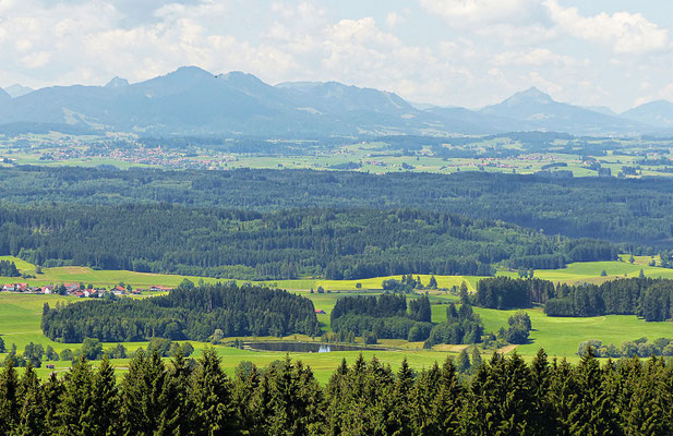 Die Natur beim Auerberg