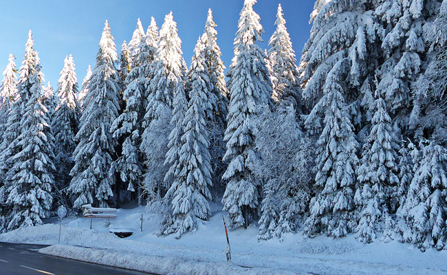 Winter im Bayerischen Wald