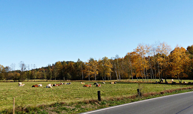 Farbenfrohes Böhmen