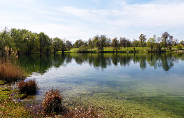 Der Auensee