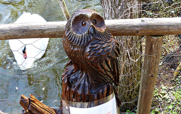 Holzschnitzerei im Greifvogelpark Menter in Konzenberg
