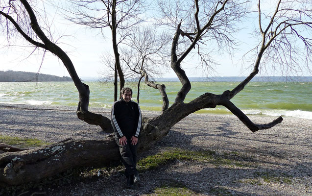 Ammersee