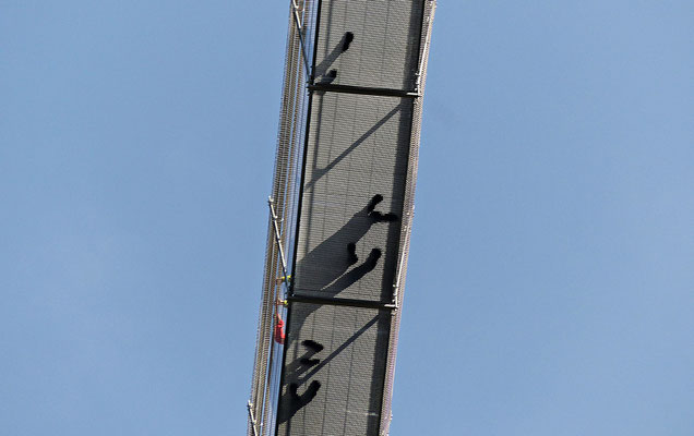 Bei der Highline 179