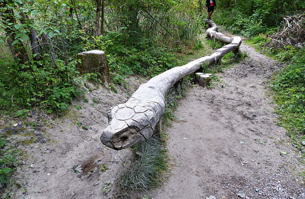 Der Baumwipfelpfad