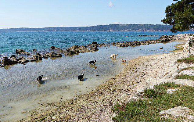 Kastel Stafilic im Juni 2018
