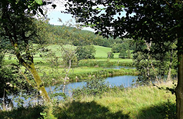 Der Fluss Regen im Sommer