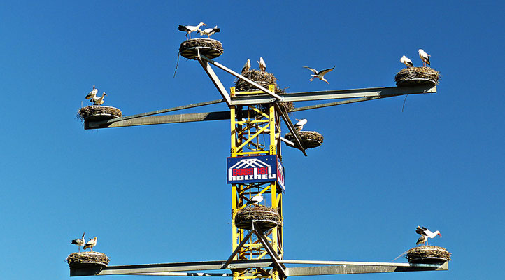 Der Storchenkran von Kirchheim