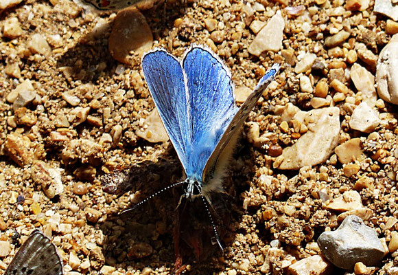 Bei der Cetina