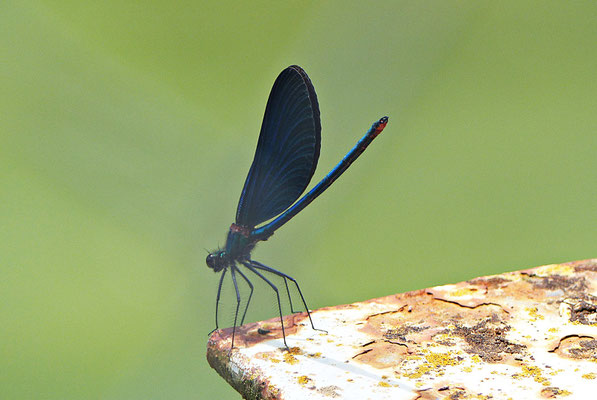 Bei der Cetina