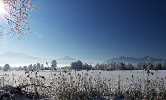 Winterlandschaft in Bayern