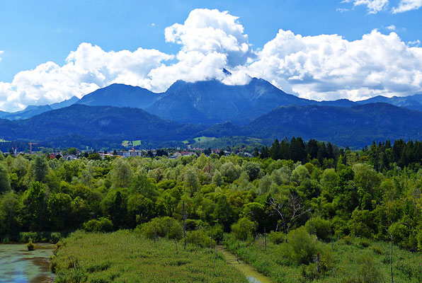 Beim Vogel-Erlebnispfad