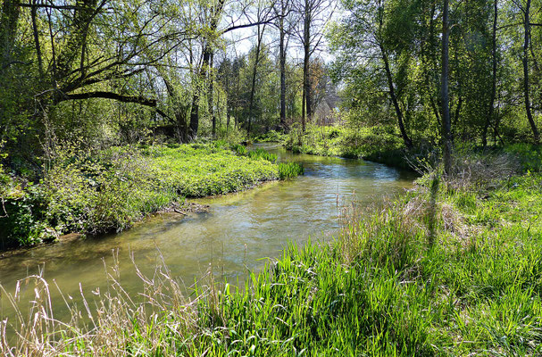Der Galgenbach