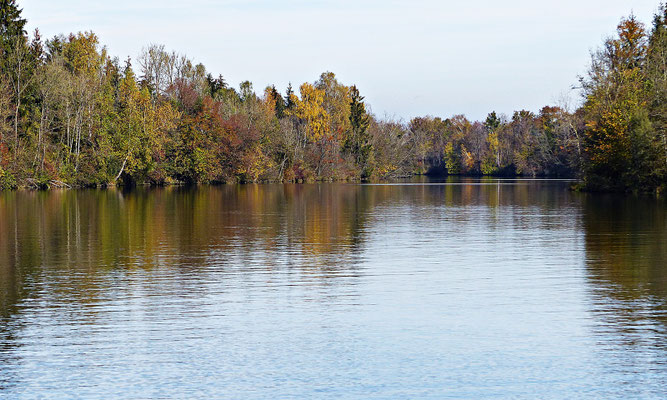 Beim Lech im Herbst