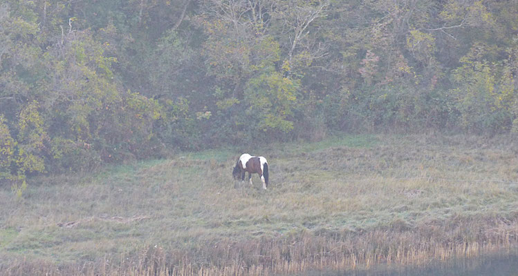 An der Zrmanja im November 2018