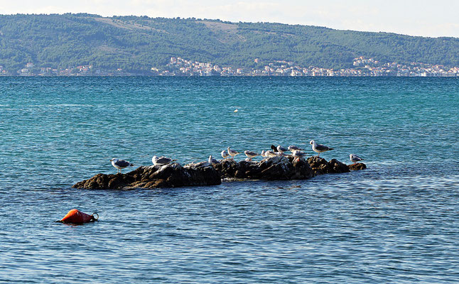 Kaštel Gomilica