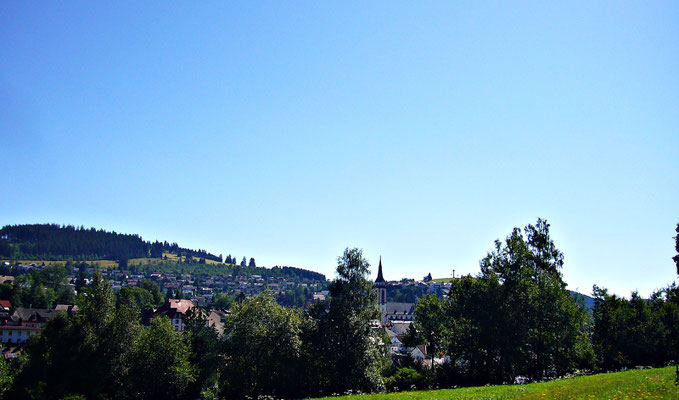 Im Schwarzwald