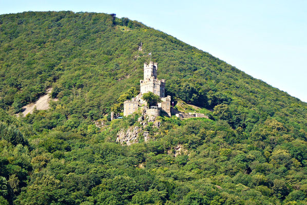 Beim schönen Rhein