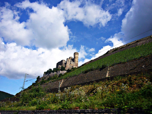 Beim schönen Rhein