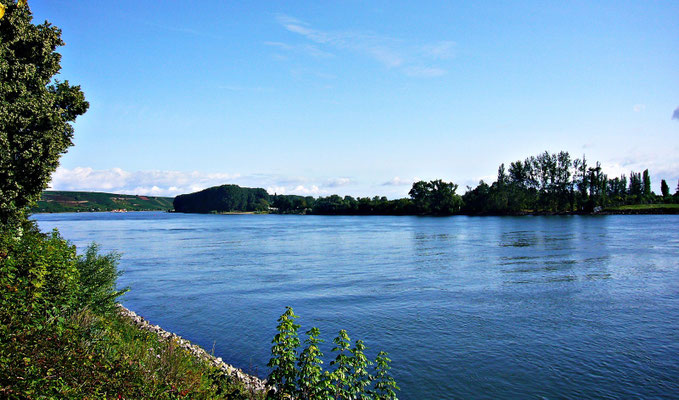 Beim schönen Rhein